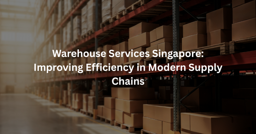 Warehouse Services Singapore: Improving Efficiency in Modern Supply Chains