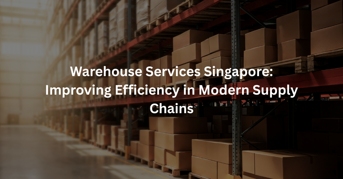 Warehouse Services Singapore: Improving Efficiency in Modern Supply Chains
