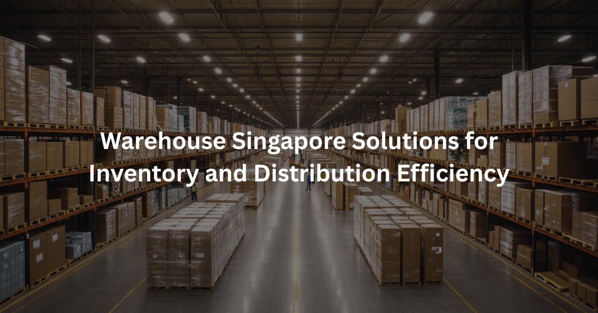 Warehouse Singapore Solutions for Inventory and Distribution Efficiency