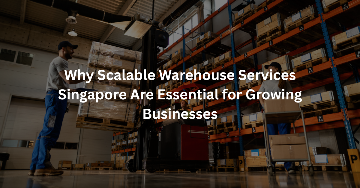 Why Scalable Warehouse Services Singapore Are Essential for Growing Businesses